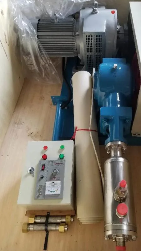 200-600L/H Cryogenic Liquid Lo2/Ln2/Lar/Lco2 Filling Pump for Filling Station